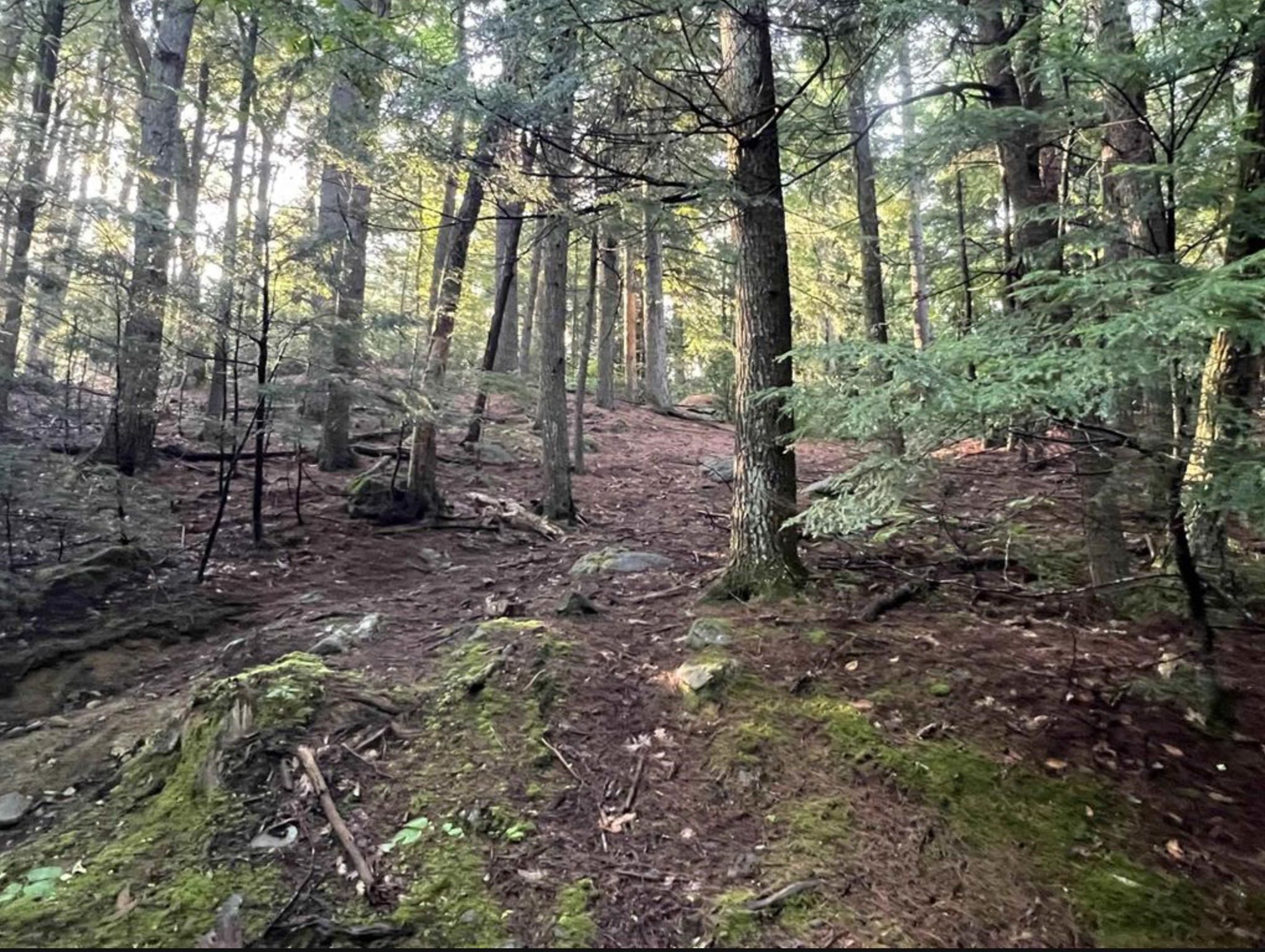 38 Chadwick Hill Road Webster, NH 03303 - Photo 11 of 20