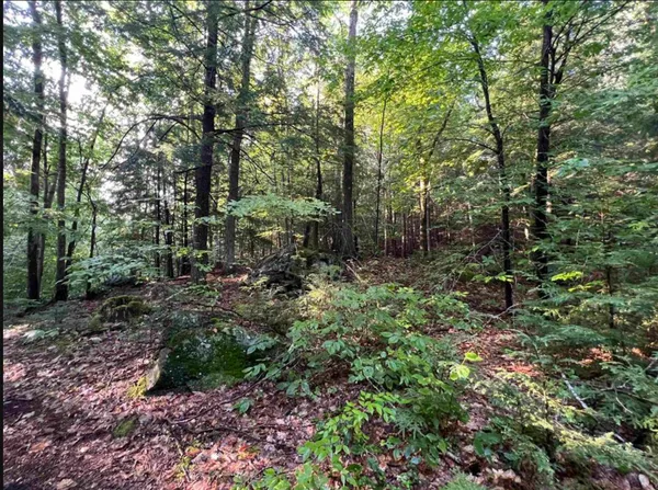 $105,000 | 38 Chadwick Hill Road, Webster, NH 03303