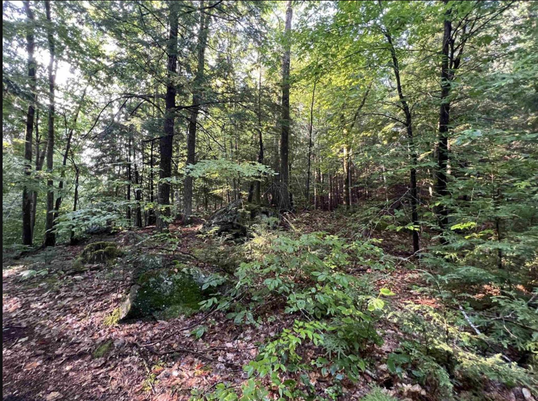 38 Chadwick Hill Road Webster, NH 03303 - Photo 15 of 20