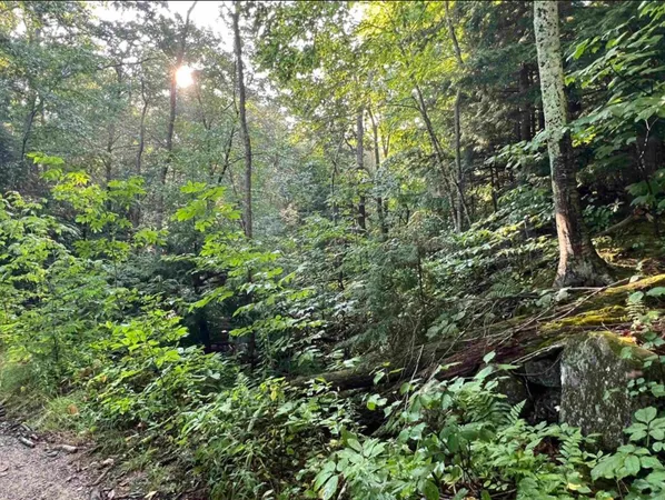 $105,000 | 38 Chadwick Hill Road, Webster, NH 03303