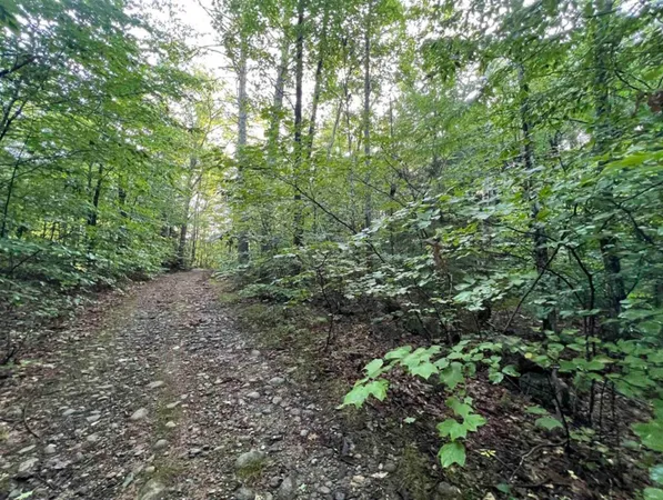 $105,000 | 38 Chadwick Hill Road, Webster, NH 03303