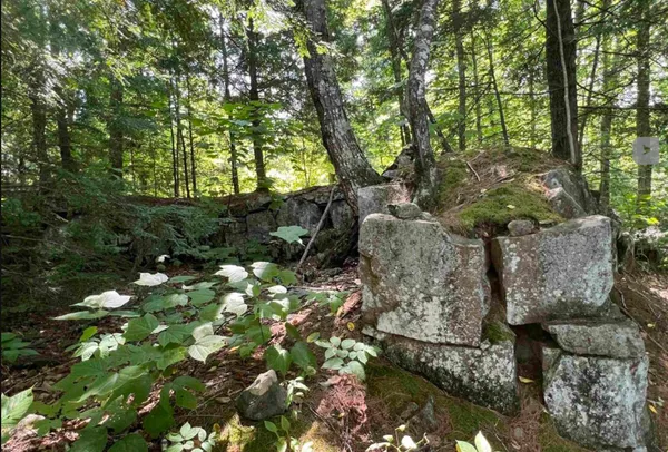 $105,000 | 38 Chadwick Hill Road, Webster, NH 03303