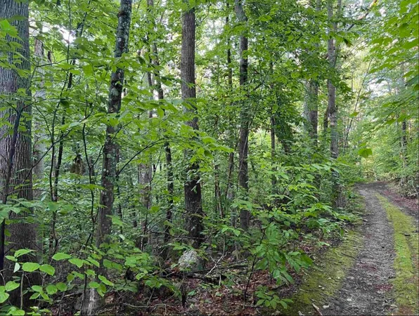 $105,000 | 38 Chadwick Hill Road, Webster, NH 03303