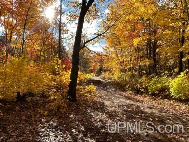52159 Superior Shores Road Atlantic Mine, MI 49905 - Photo 35 of 45 Gallery Image 35