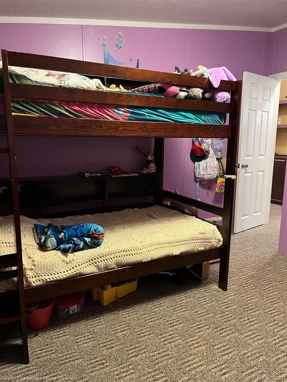 3758 Cedar Run Road Cass City, MI 48726 - Photo 23 of 41