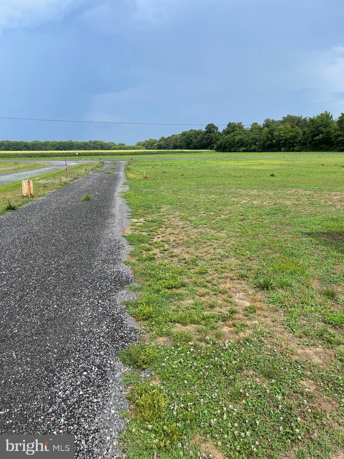 15150 Jarrell Road Goldsboro, MD 21636 - Photo 3 of 16 Country living