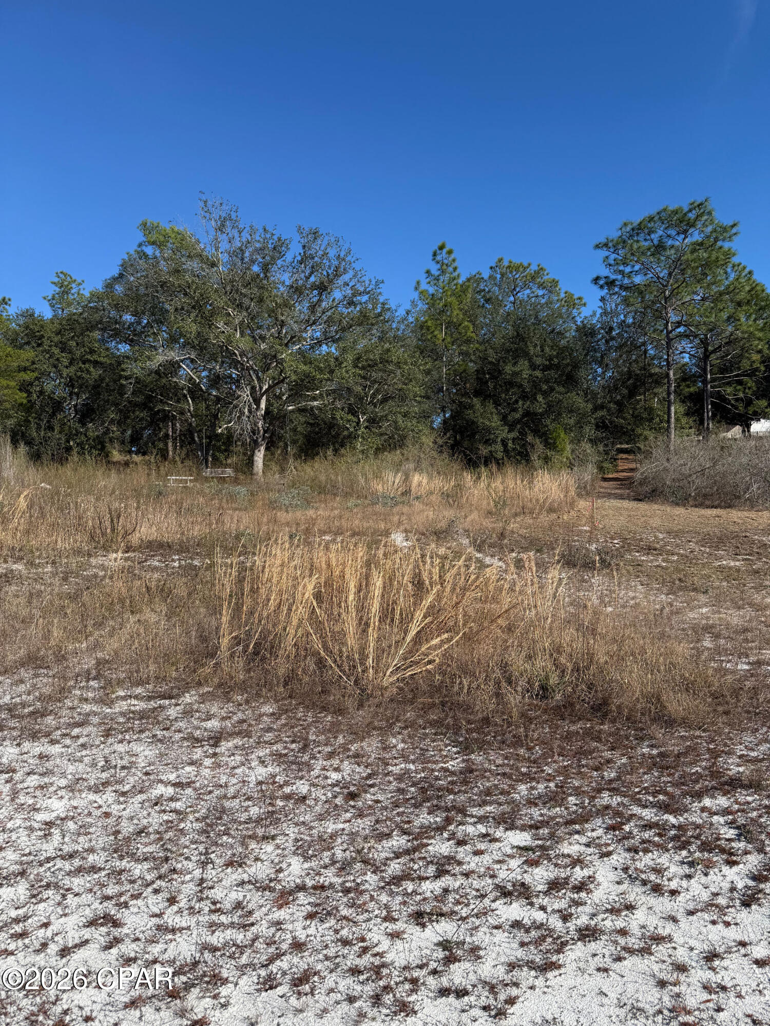 Lot 21 Grassy Pond Road Chipley, FL 32428 - Photo 11 of 14