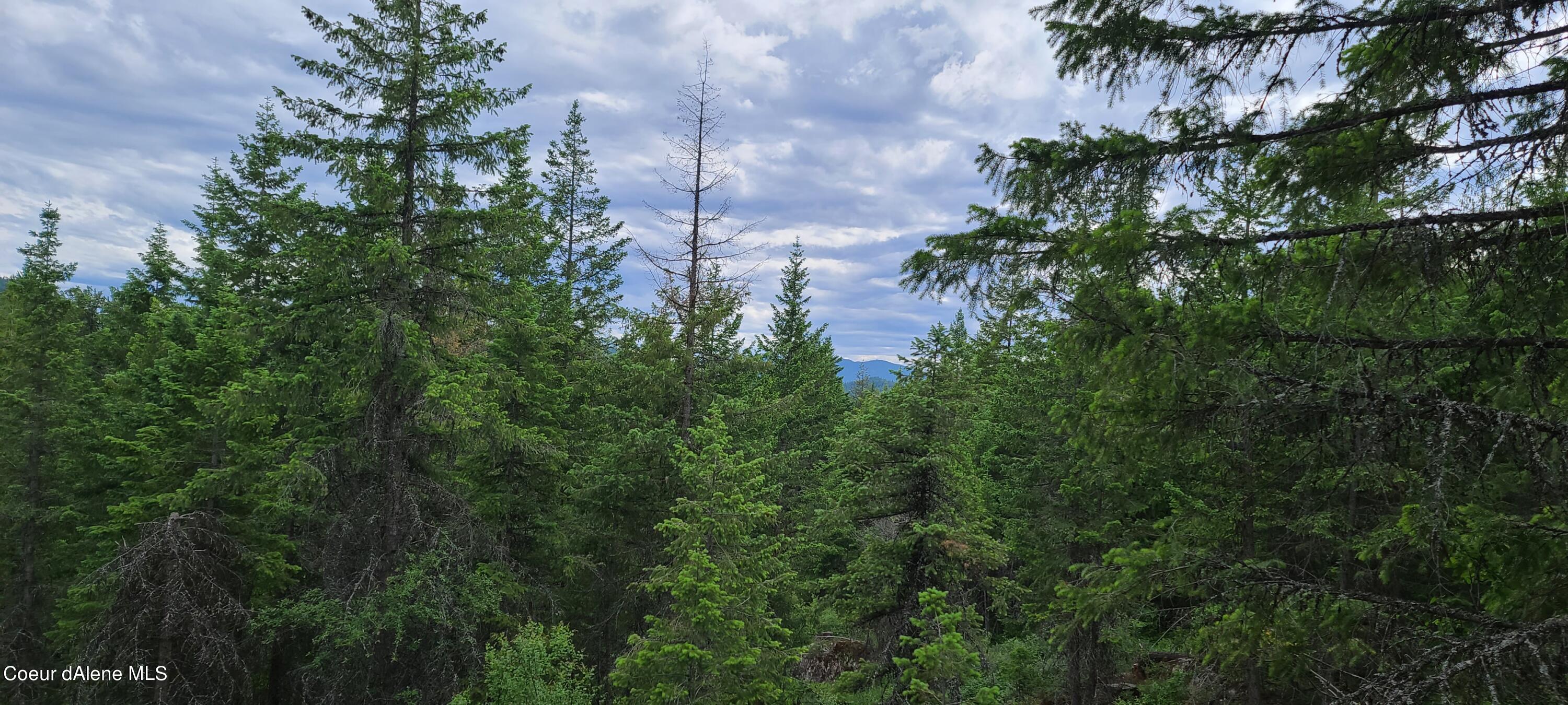 Nna West Gold Creek Ridge Road Sandpoint, ID 83864 - Photo 12 of 14 20210608_150921