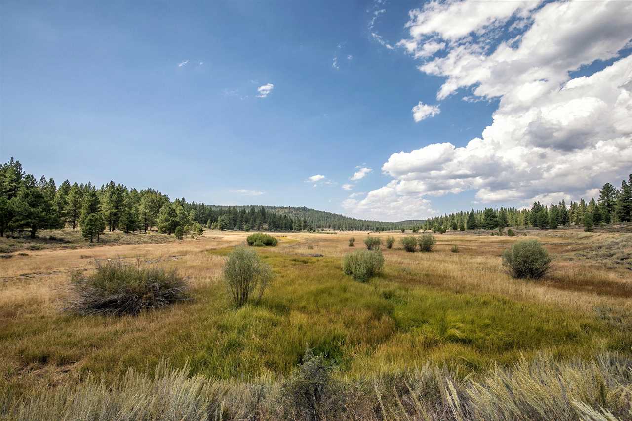 16801 Robertson Road Truckee, CA 96161 - Photo 17 of 21