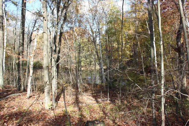 $410,000 | 401 South Bass Lake Avenue, Harrison, MI 48625