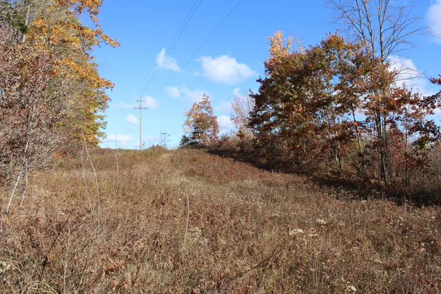 $410,000 | 401 South Bass Lake Avenue, Harrison, MI 48625