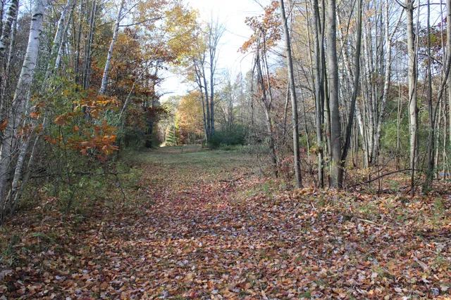 $410,000 | 401 South Bass Lake Avenue, Harrison, MI 48625