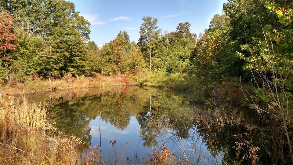 0 South Old Military Road Loretto, TN 38469 - Photo 6 of 10 a view of lake