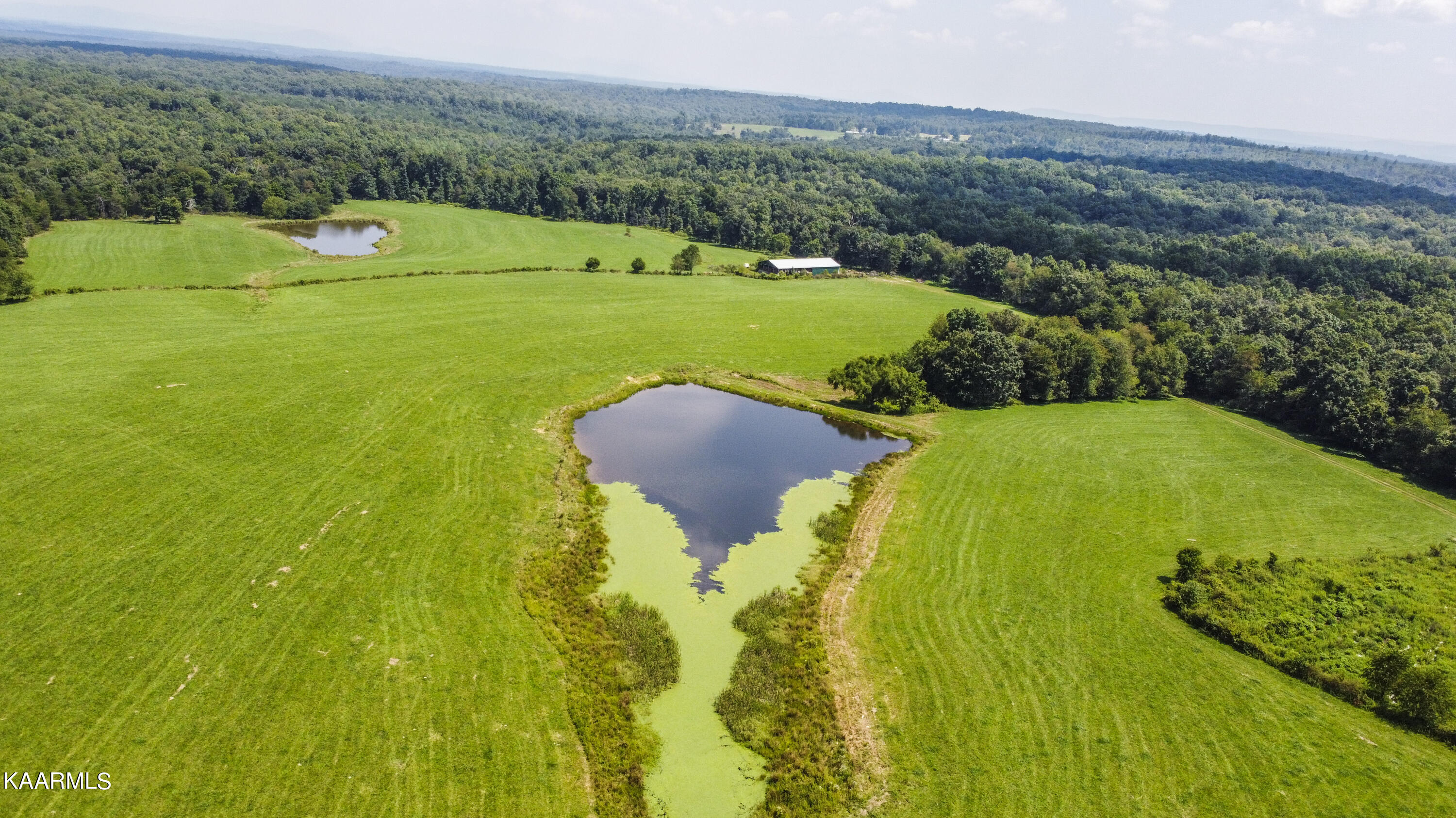 North Twin Bridge Road Deer Lodge, TN 37726 - Photo 1 of 33 drone 19