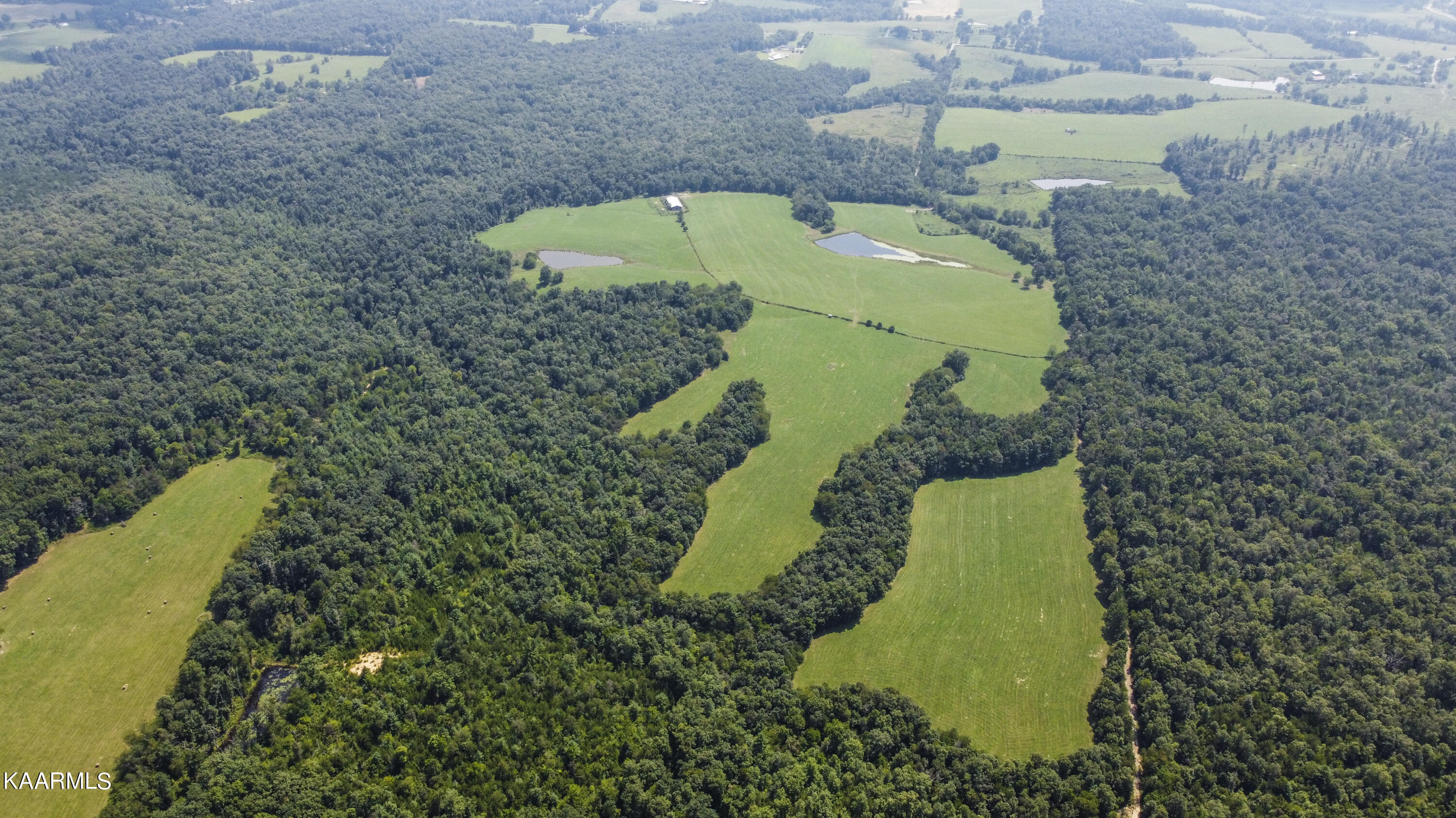 North Twin Bridge Road Deer Lodge, TN 37726 - Photo 16 of 33 drone 6