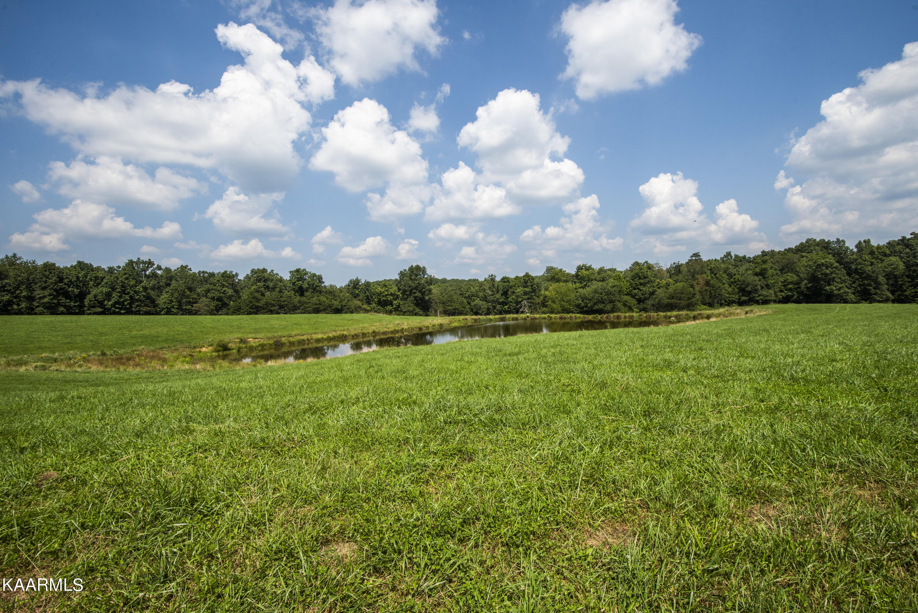 North Twin Bridge Road Deer Lodge, TN 37726 - Photo 20 of 33 ground 22