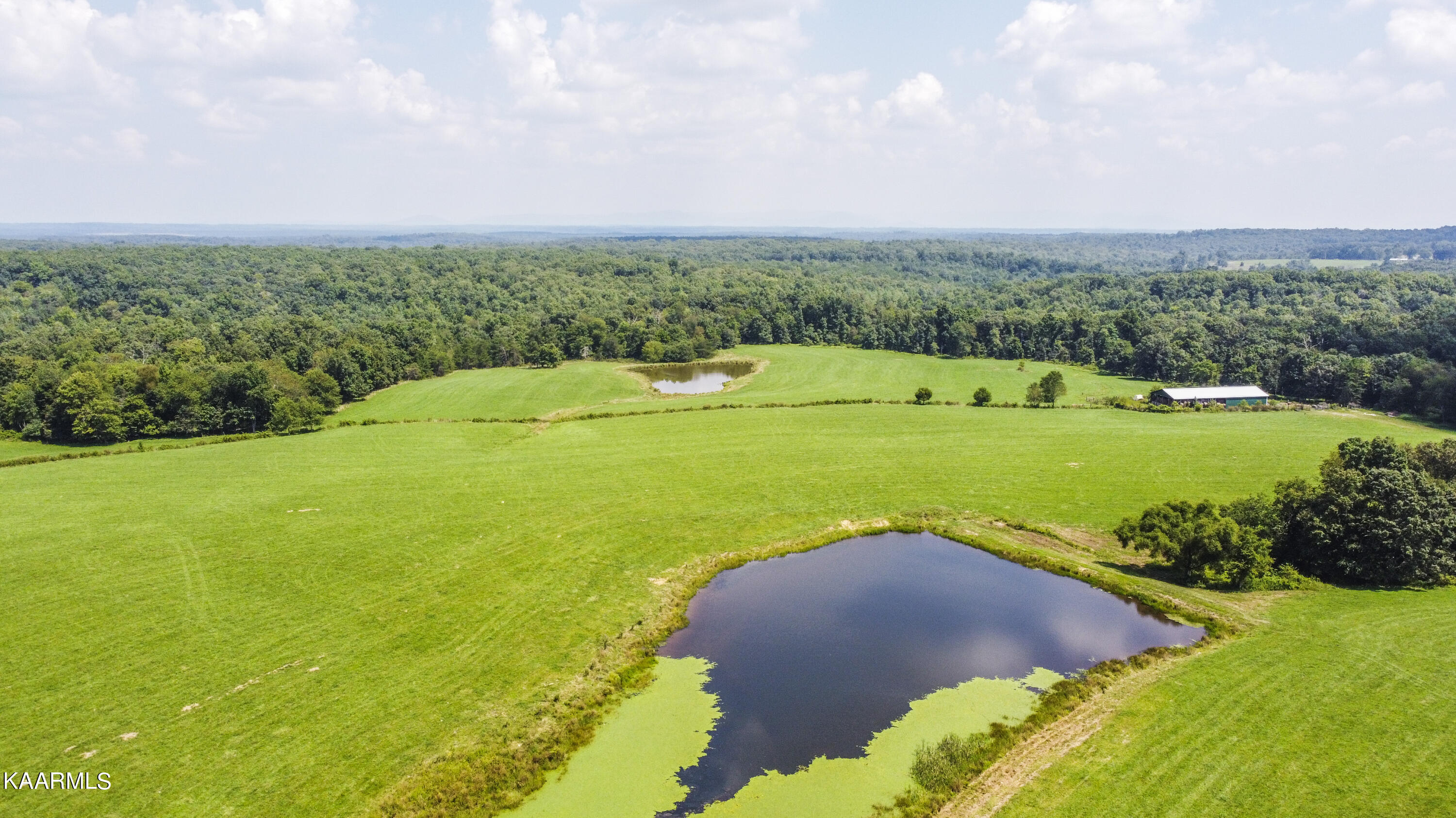 North Twin Bridge Road Deer Lodge, TN 37726 - Photo 2 of 33 drone 18
