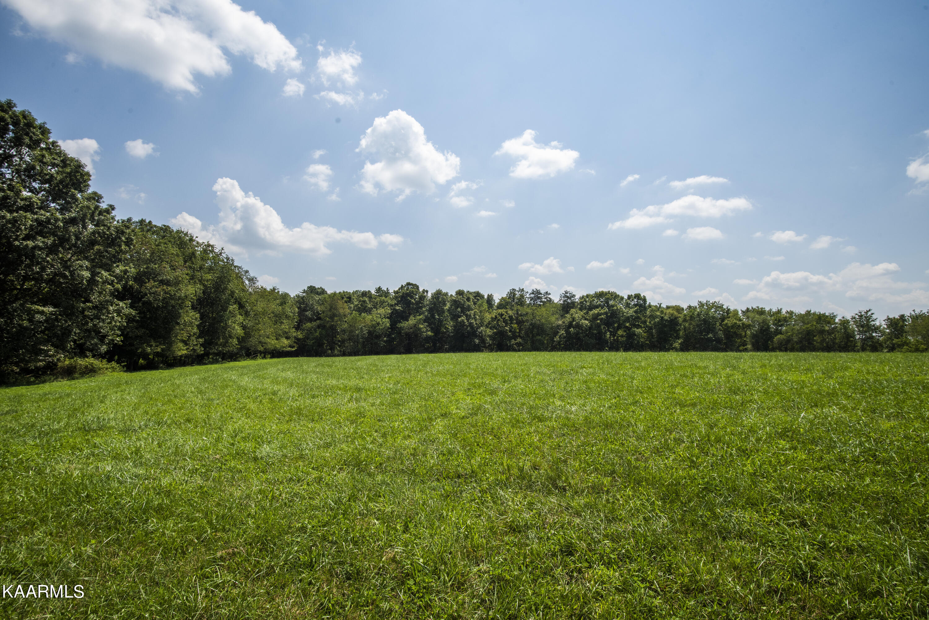 North Twin Bridge Road Deer Lodge, TN 37726 - Photo 22 of 33 ground 1