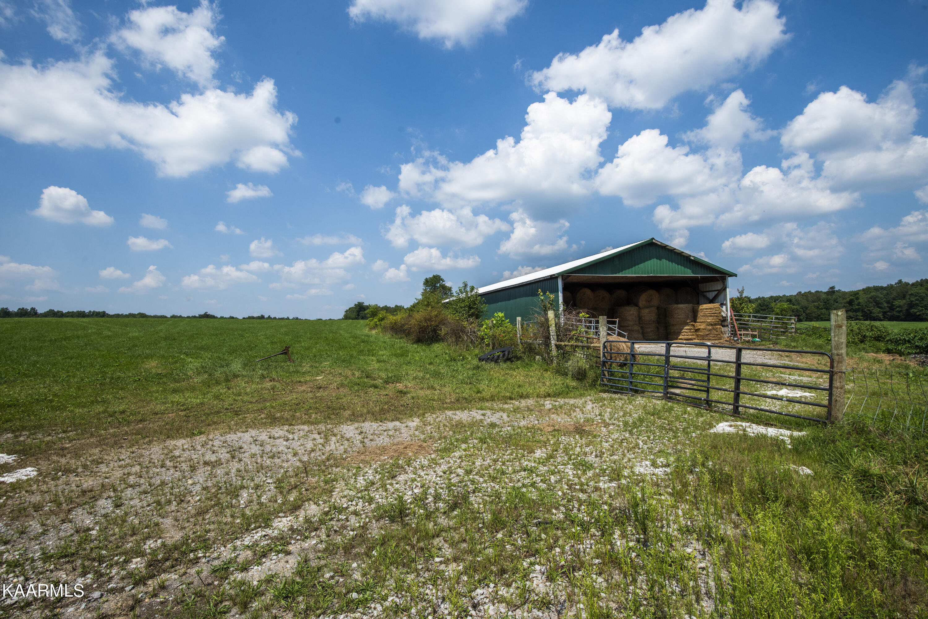 North Twin Bridge Road Deer Lodge, TN 37726 - Photo 23 of 33 ground 27
