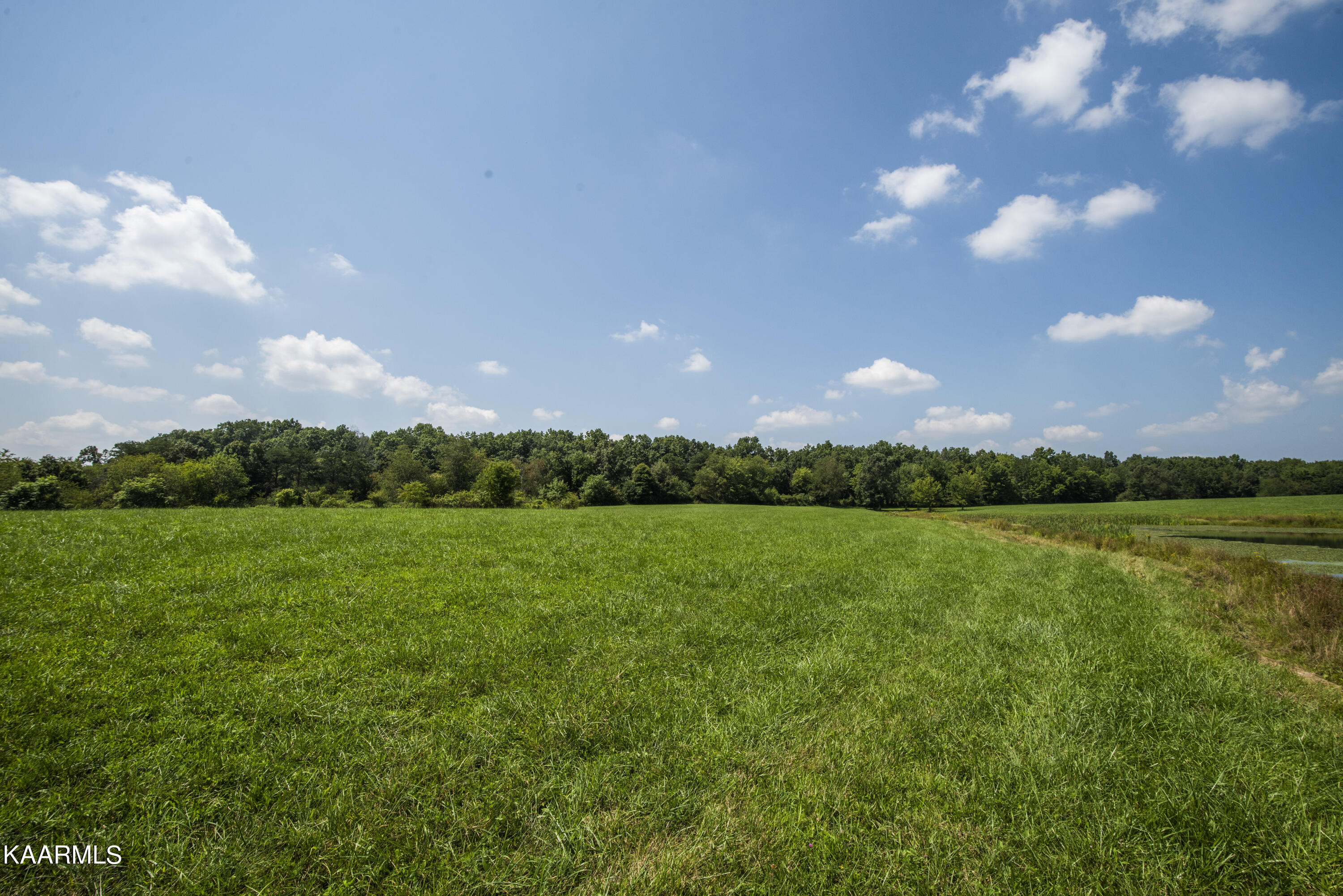 North Twin Bridge Road Deer Lodge, TN 37726 - Photo 25 of 33 ground