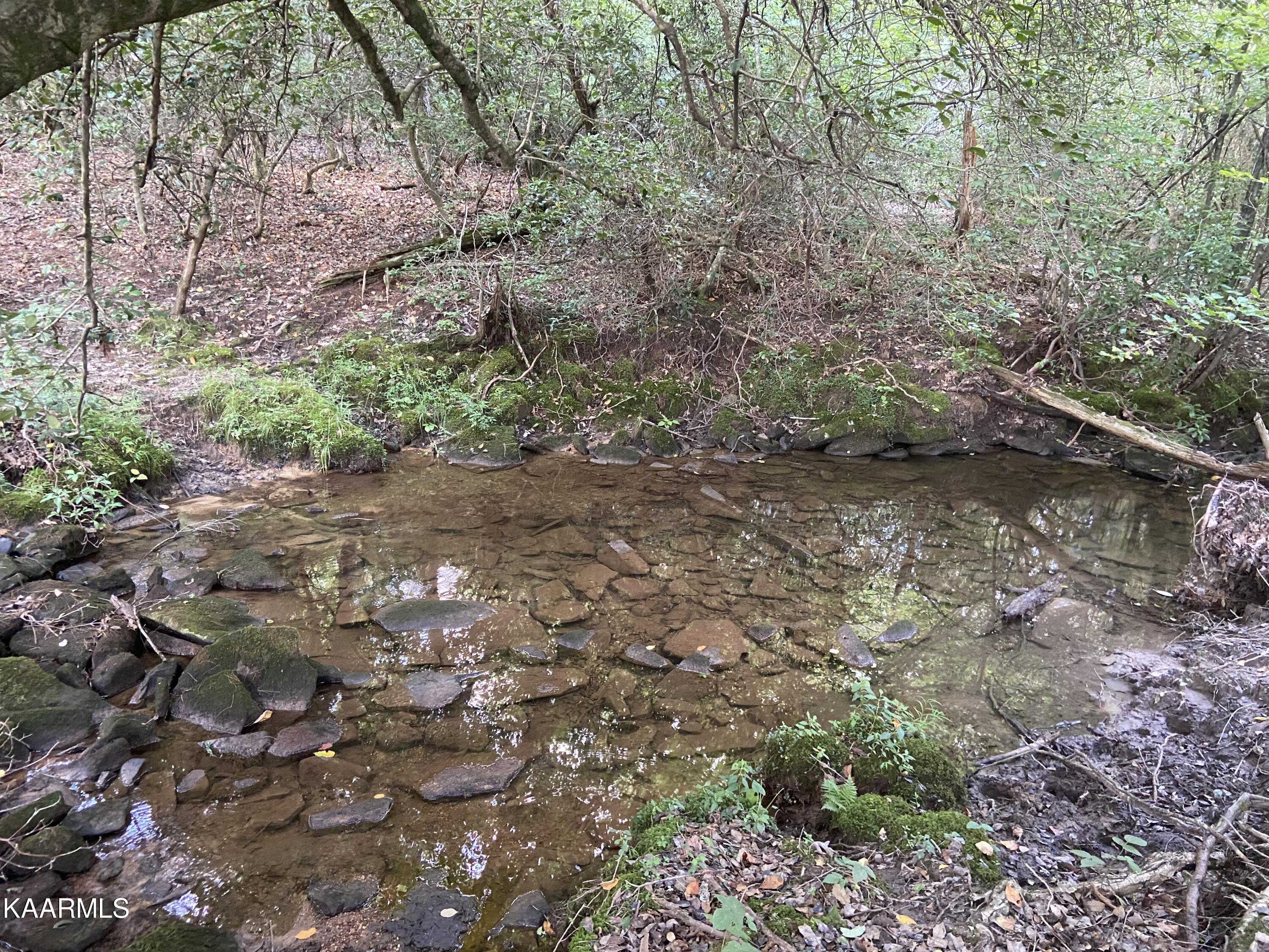 North Twin Bridge Road Deer Lodge, TN 37726 - Photo 29 of 33 IMG-3905