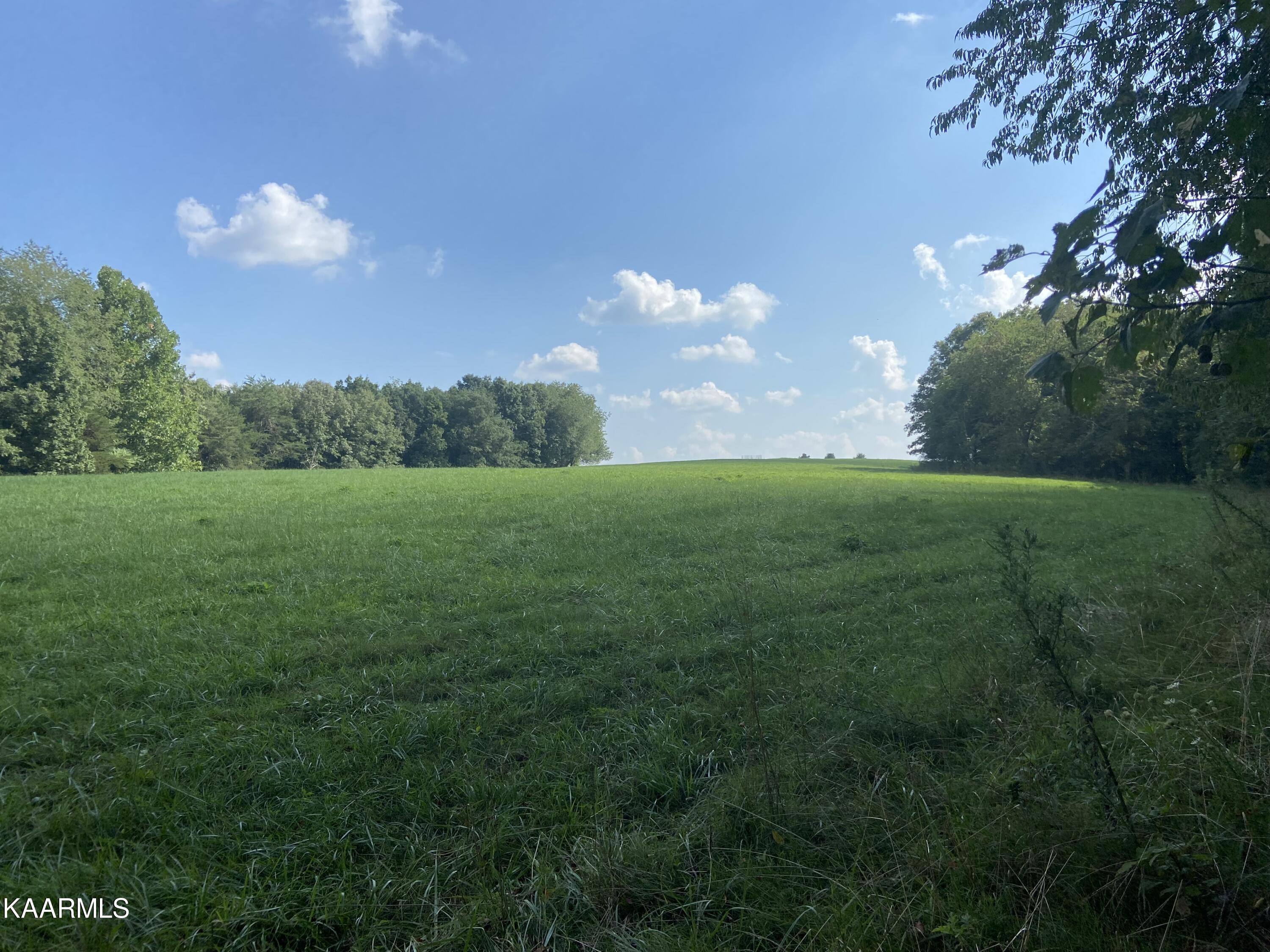 North Twin Bridge Road Deer Lodge, TN 37726 - Photo 31 of 33 MP