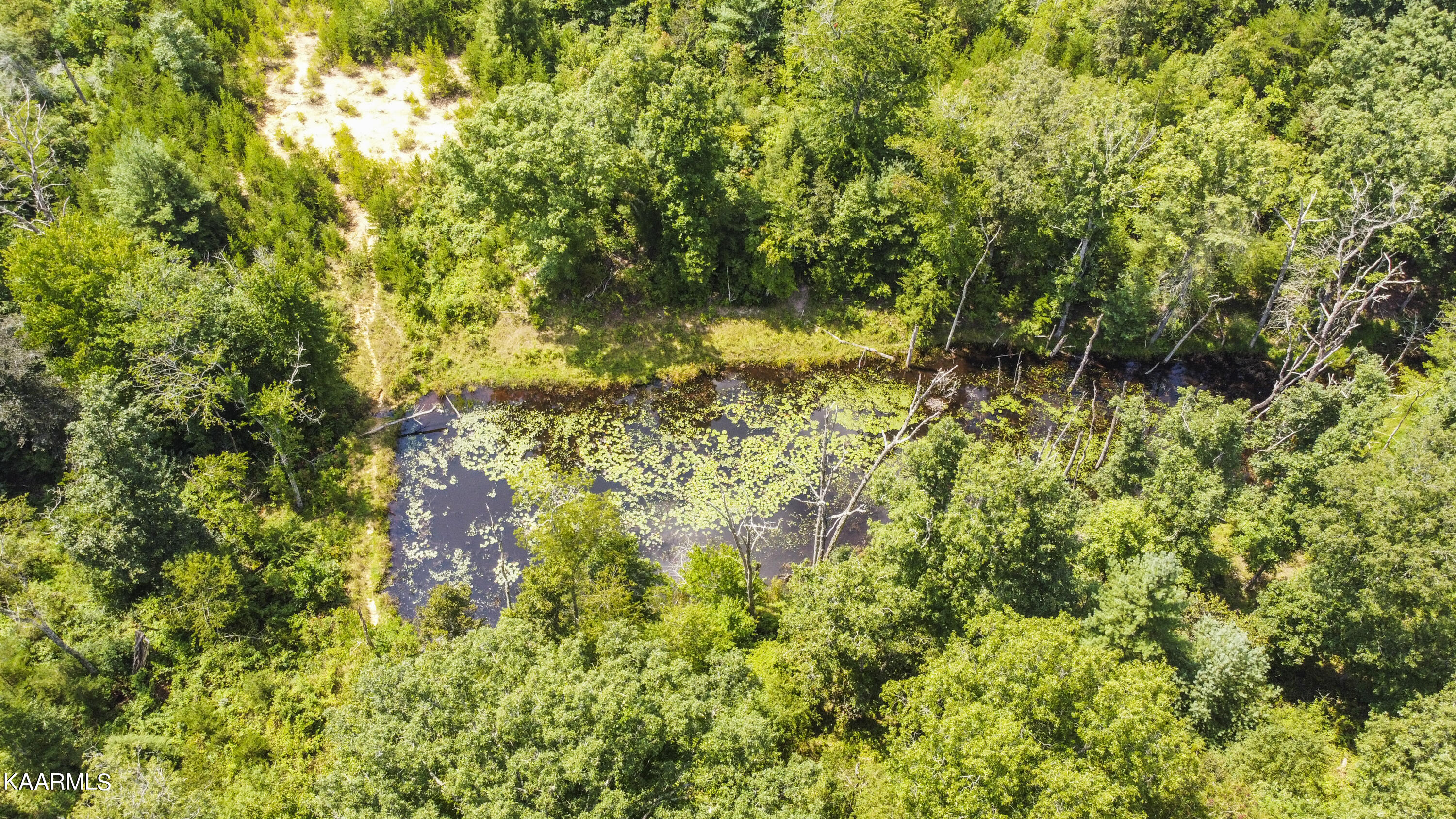 North Twin Bridge Road Deer Lodge, TN 37726 - Photo 6 of 33 drone 14
