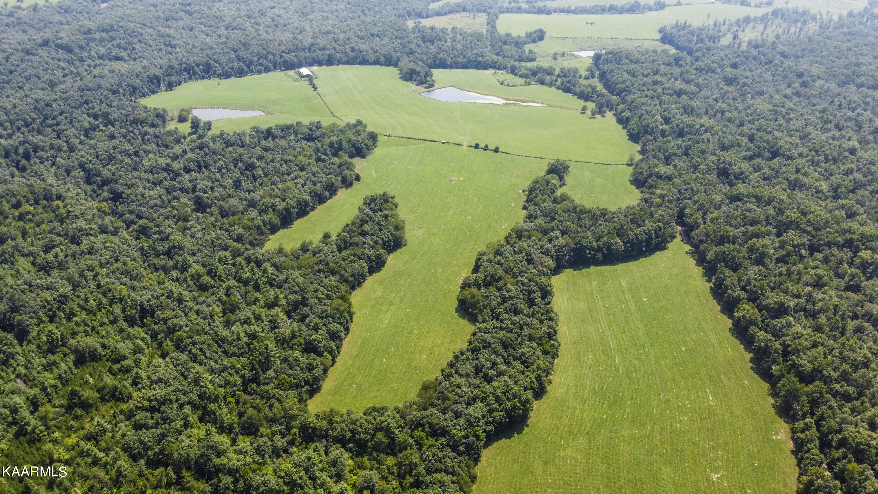 North Twin Bridge Road Deer Lodge, TN 37726 - Photo 7 of 33 drone 5