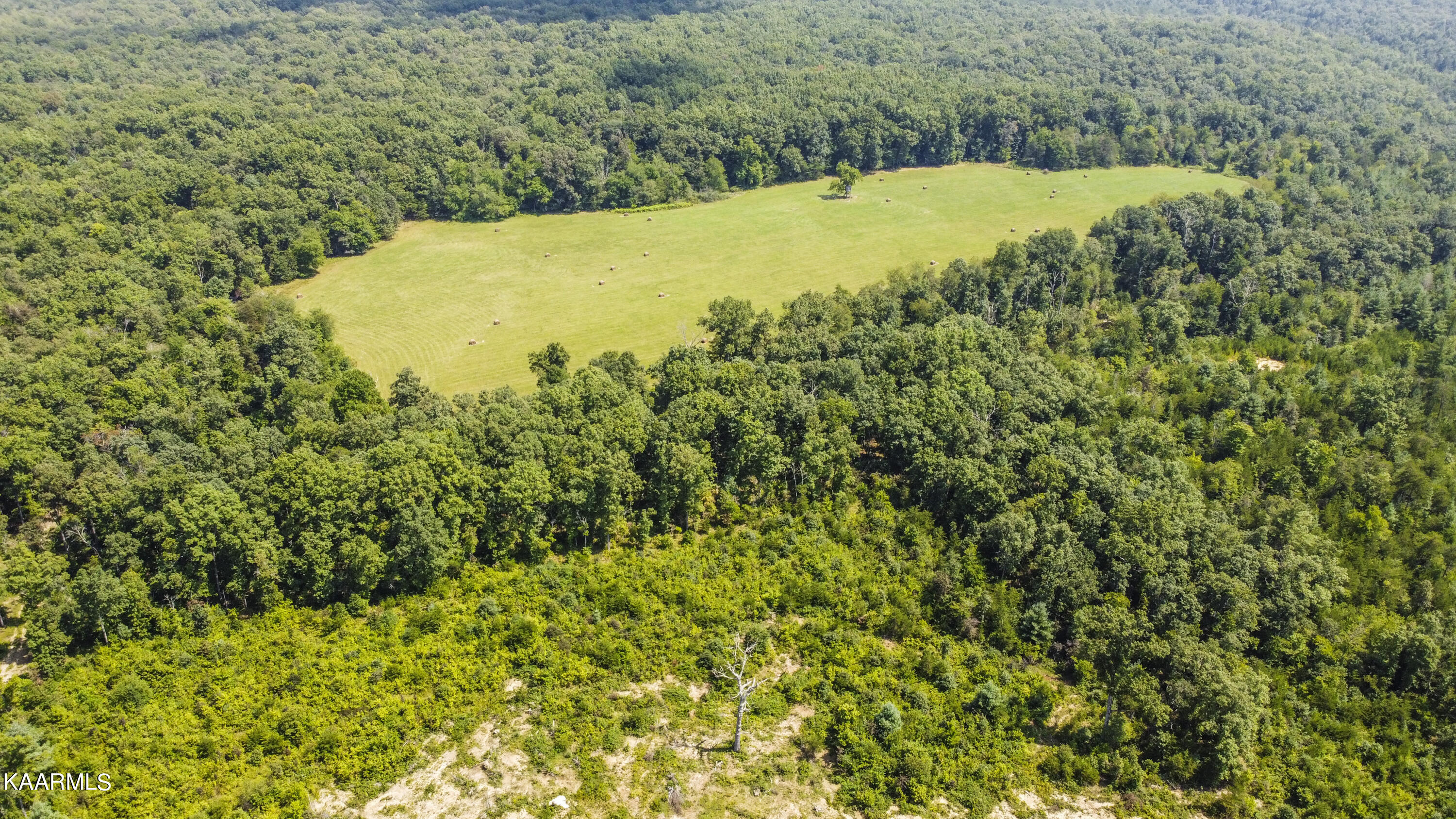 North Twin Bridge Road Deer Lodge, TN 37726 - Photo 9 of 33 drone 2
