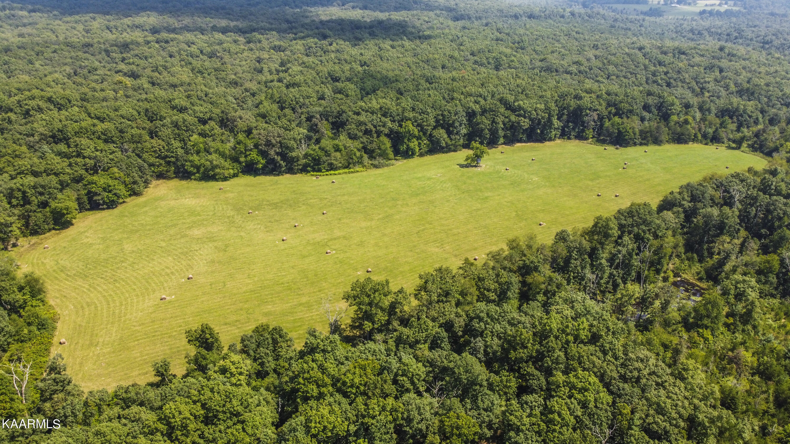 North Twin Bridge Road Deer Lodge, TN 37726 - Photo 10 of 33 drone