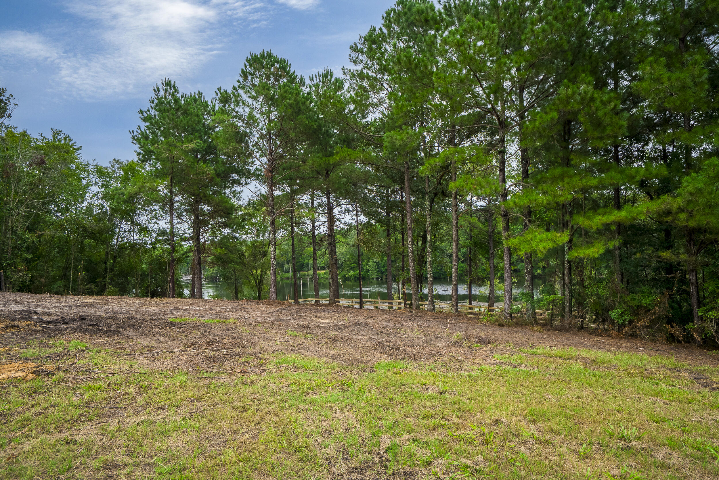 0 Cedar Creek Road Windsor, SC 29856 - Photo 18 of 31 Gallery Image 18