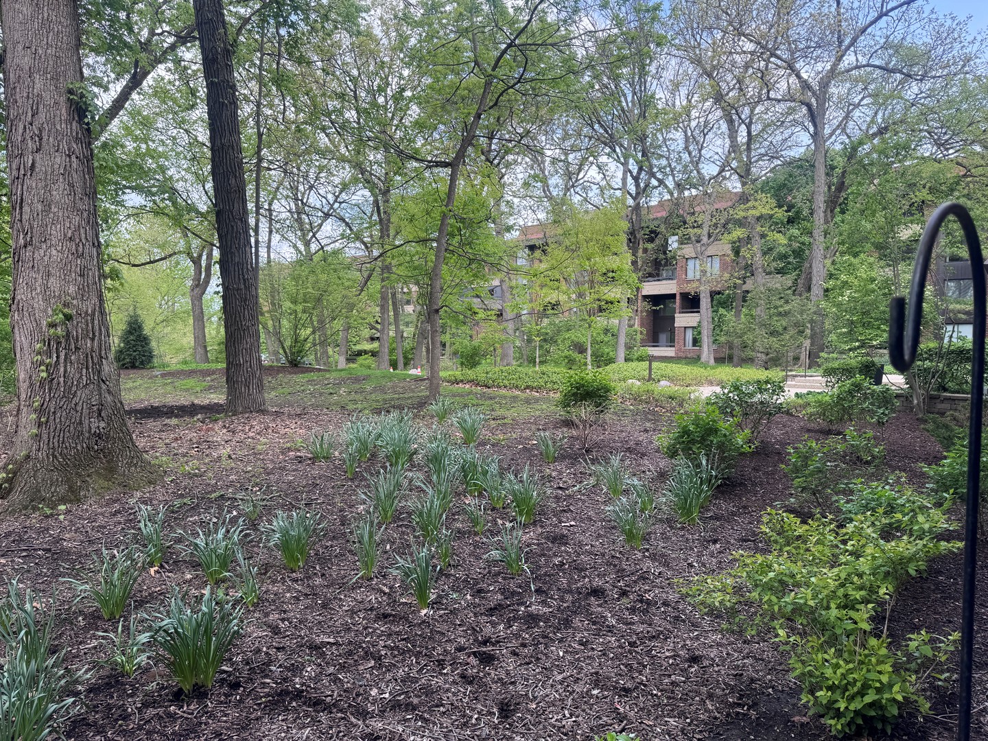 1401 Burr Oak Road, Unit 105B Hinsdale, IL 60521 - Photo 17 of 27