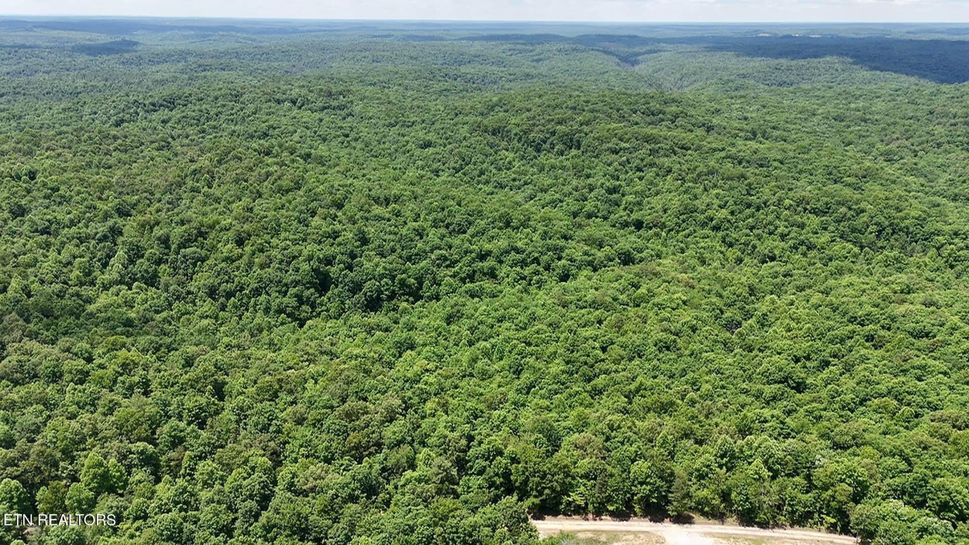 0 Sheep Ranch Road Robbins, TN 37852 - Photo 16 of 29 2srd