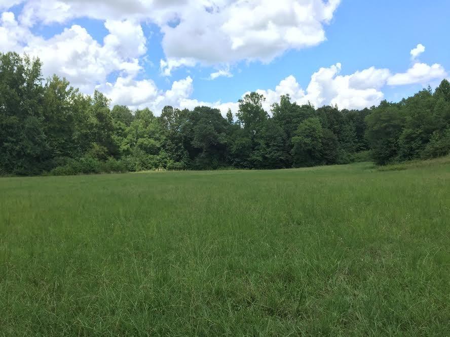 0 Duncan Road Buchanan, GA 30113 - Photo 1 of 1