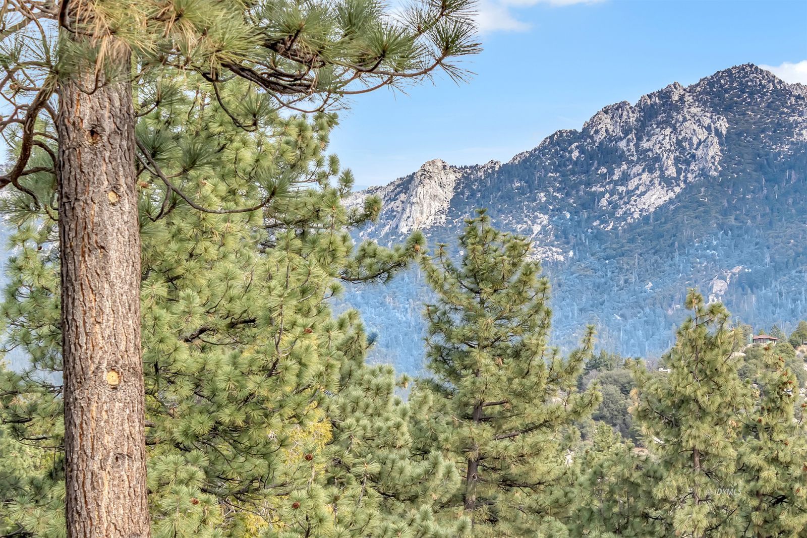 53440 West Ridge Road Idyllwild, CA 92549 - Photo 4 of 66 Untitled