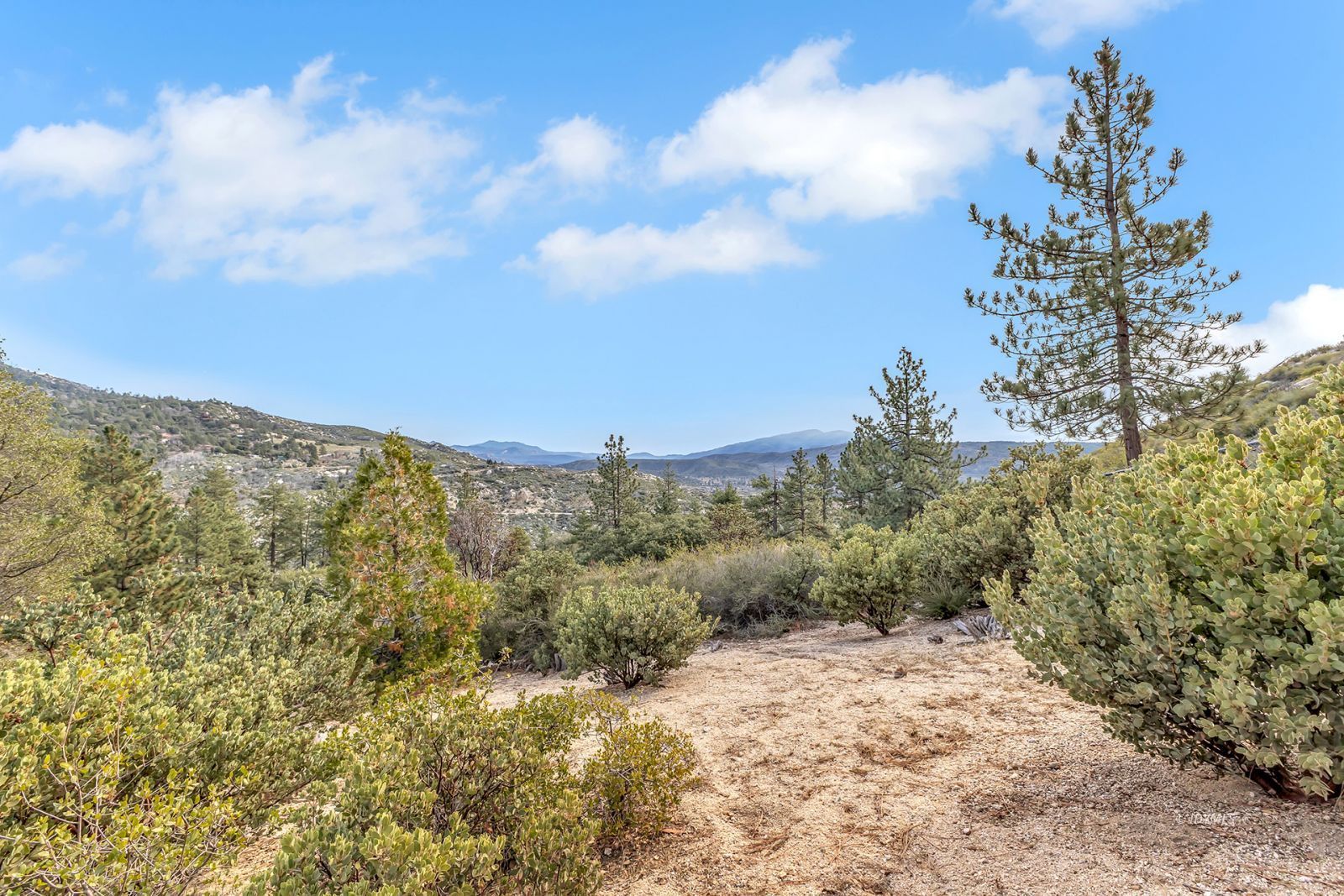 53440 West Ridge Road Idyllwild, CA 92549 - Photo 63 of 66 a view of a yard with a tree in the background