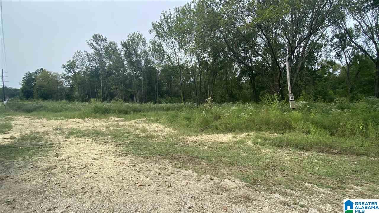 1973 Maxwellborn Road Piedmont, AL 36272 - Photo 5 of 5