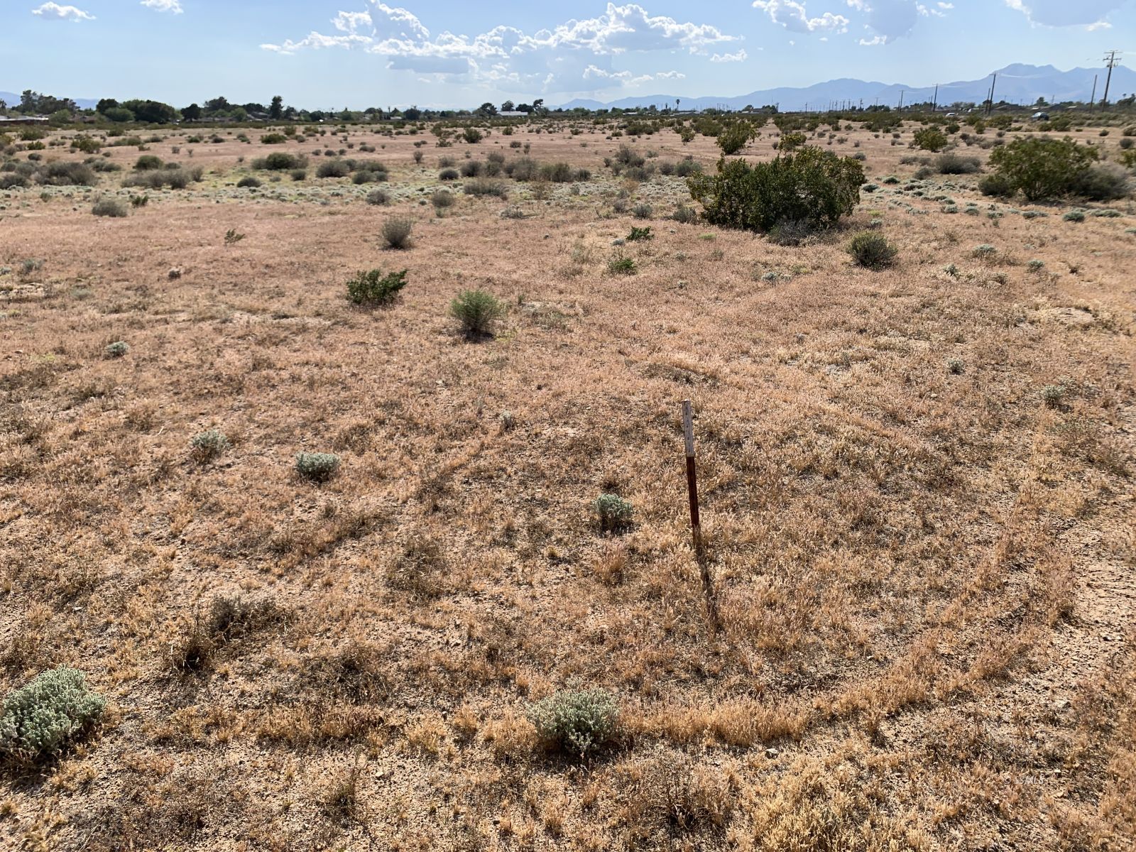 509-090-01 509-090-01 Norma Ridgecrest, CA 93555 - Photo 11 of 11
