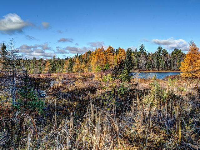 Near1594 Dollar Lake Road Eagle River, WI 54521 - Photo 8 of 16 Gallery Image 8