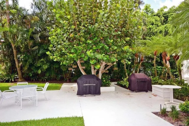 a view of a chairs and table in the backyard