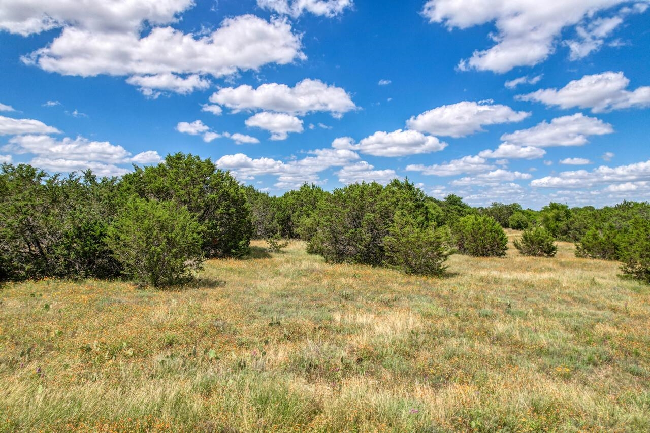 Lot 24 Rifle Ridge Lampasas, TX 76550 - Photo 23 of 25