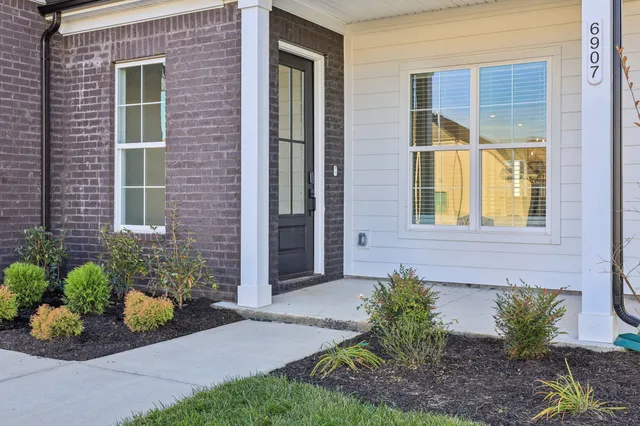a view of a potted plant in front of a house