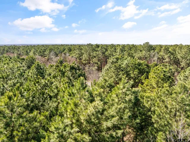 $35,000 | Lot 2 Fm 556, Pittsburg, TX 75686