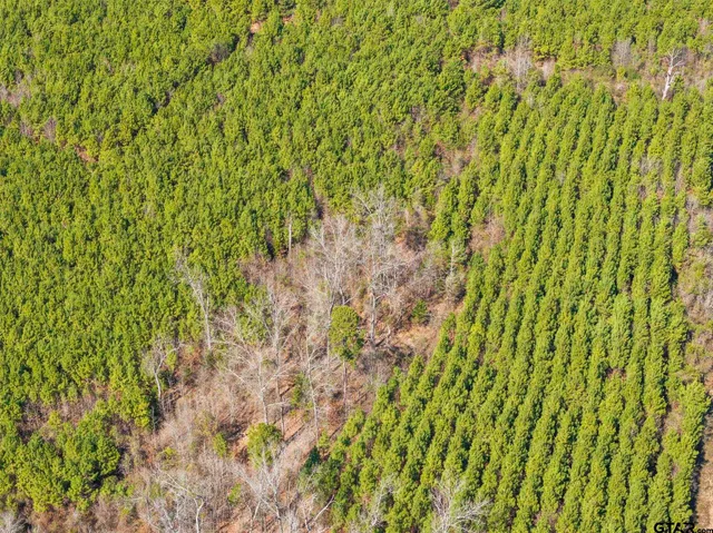 $35,000 | Lot 2 Fm 556, Pittsburg, TX 75686