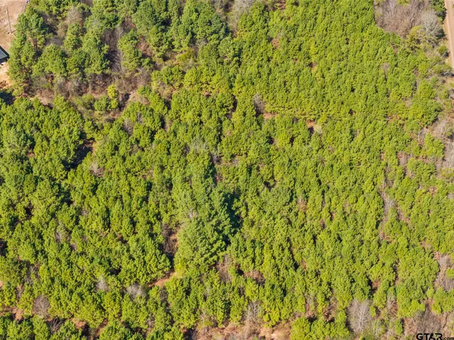 $35,000 | Lot 2 Fm 556, Pittsburg, TX 75686