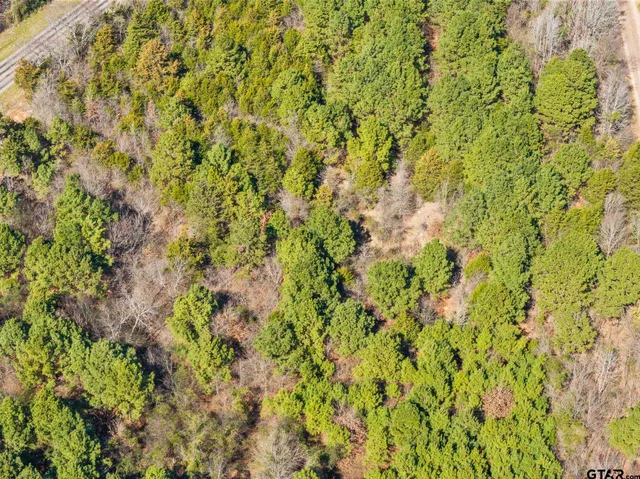 $35,000 | Lot 2 Fm 556, Pittsburg, TX 75686