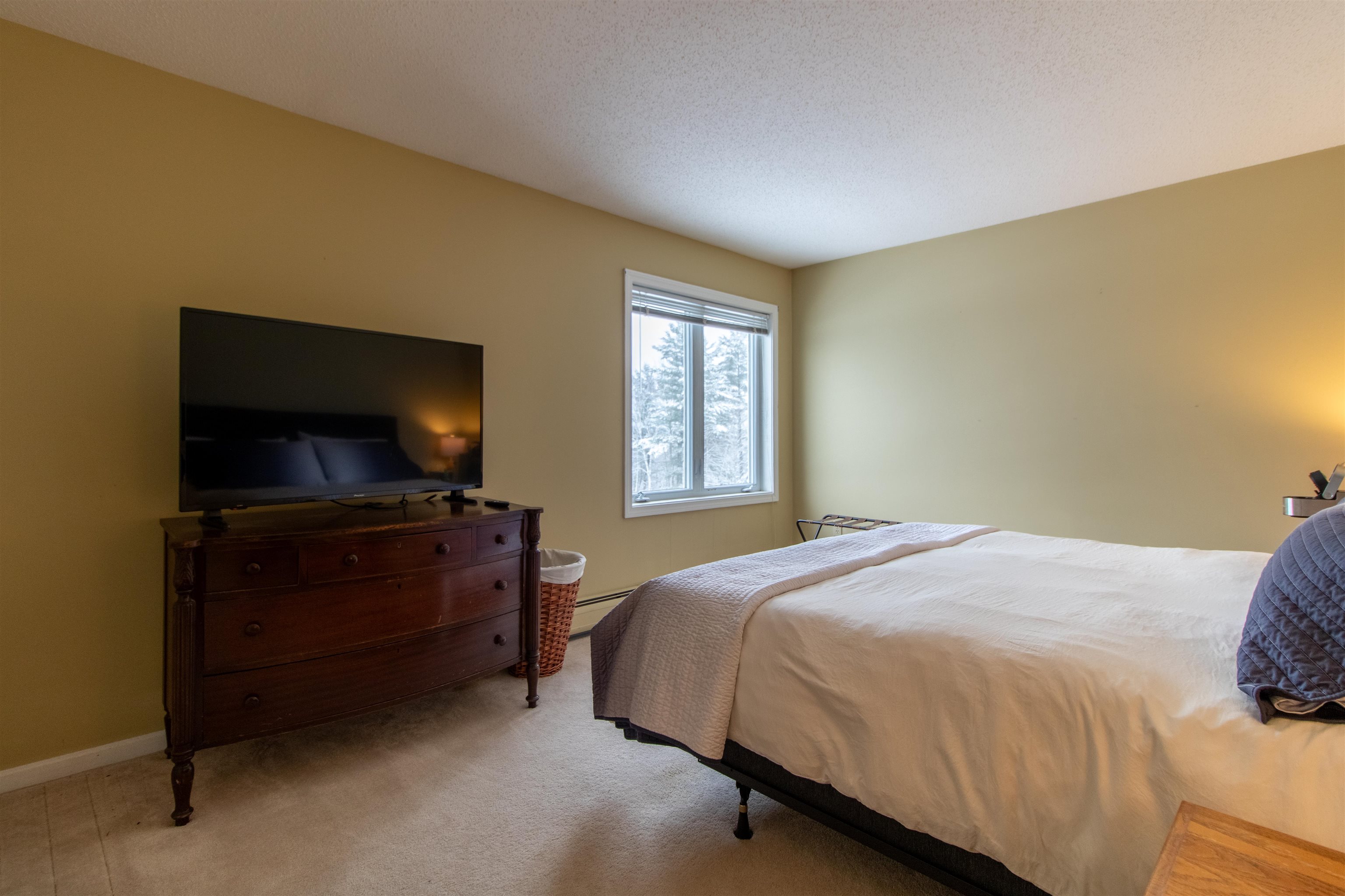 203 Powderhorn Road, Unit 1001 Burke, VT 05832 - Photo 16 of 49