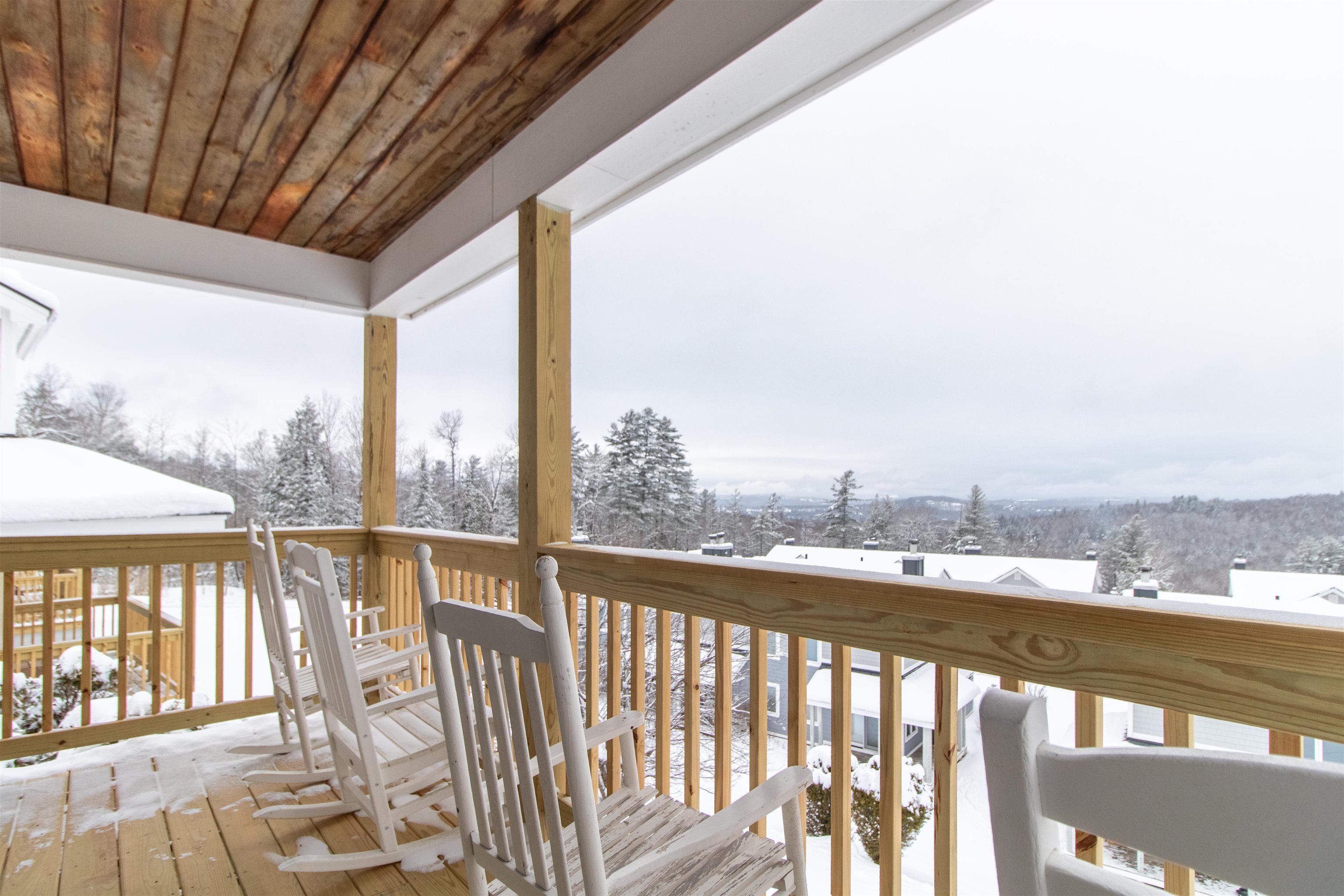 203 Powderhorn Road, Unit 1001 Burke, VT 05832 - Photo 34 of 49