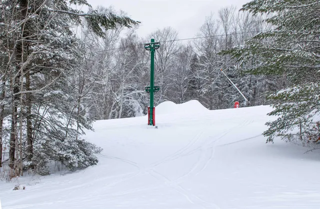 $675,000 | 203 Powderhorn Road, Unit 1001, Burke, VT 05832