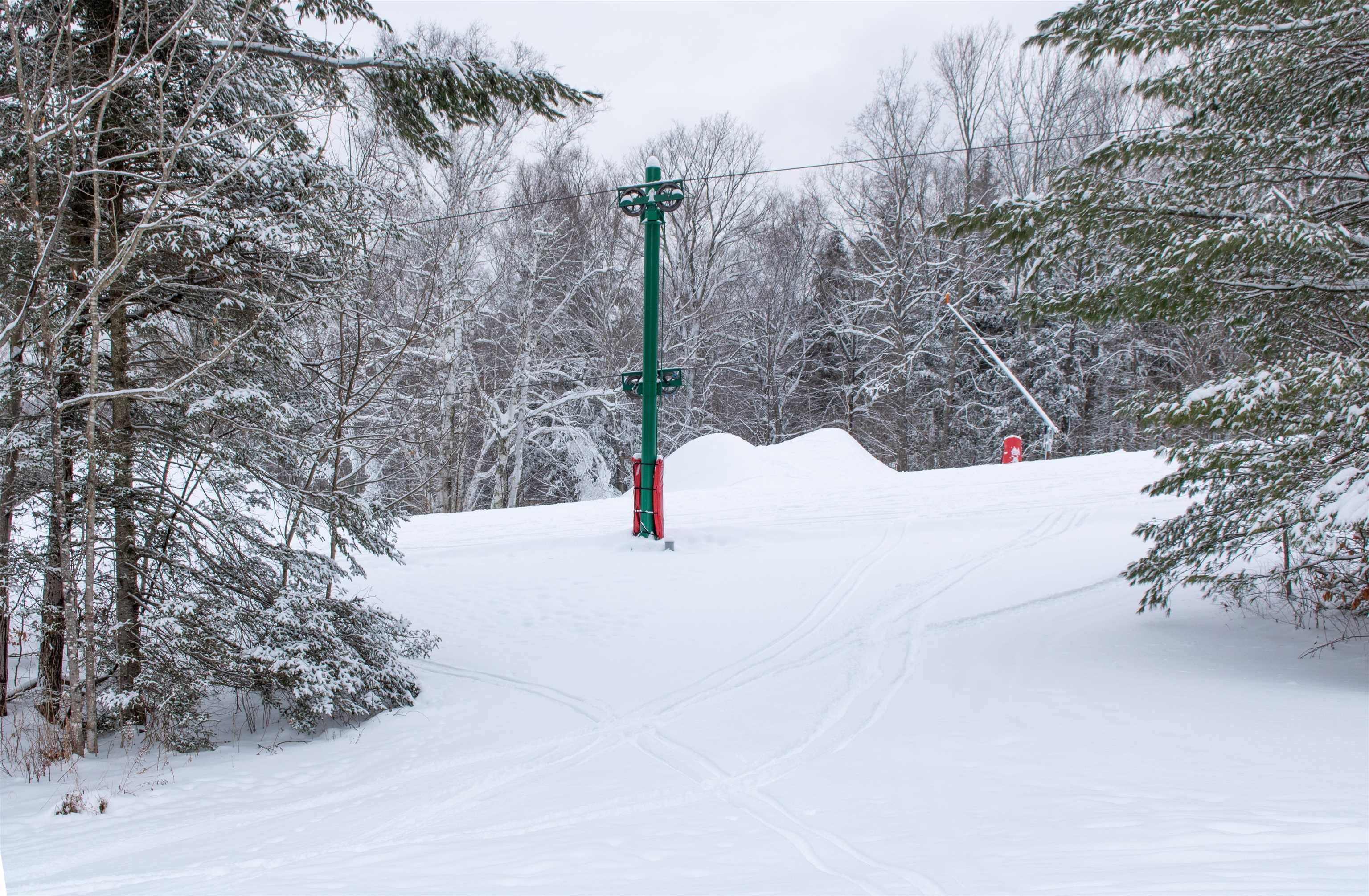 203 Powderhorn Road, Unit 1001 Burke, VT 05832 - Photo 44 of 49